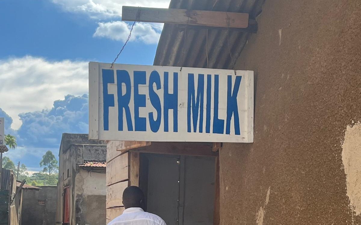 A man entering a small roadside kiosk with a large blue FRESH MILK sign painted on it, a retail outlet in Uganda's informal dairy value chain