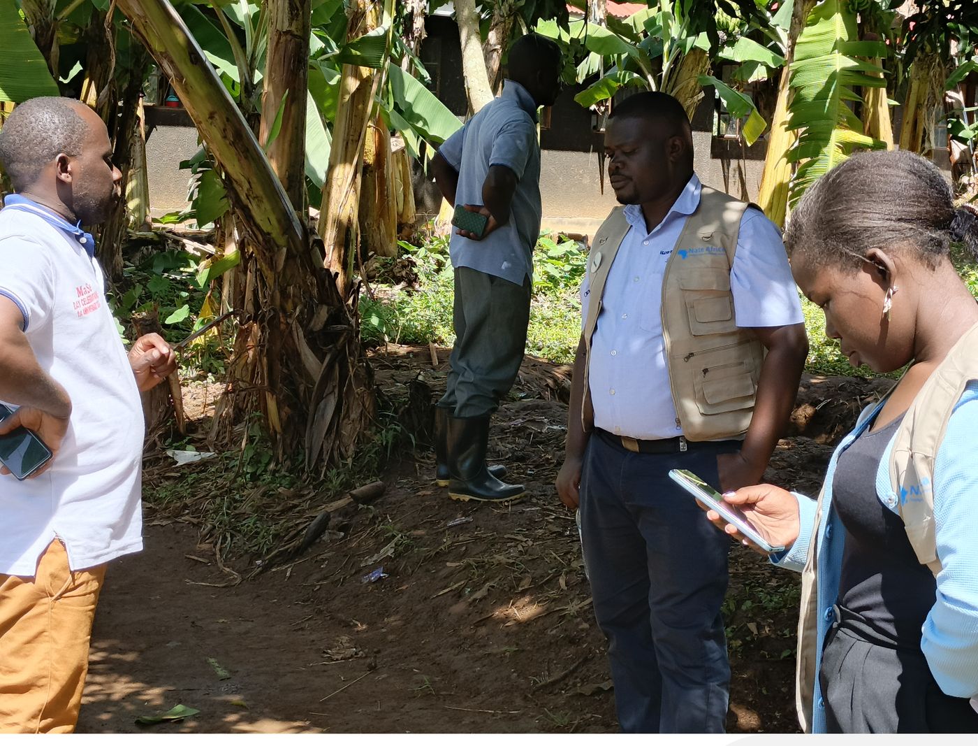 NATE Africa field staff in branded vests recording observations on smartphones during a farm visit